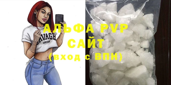 ПСИЛОЦИБИНОВЫЕ ГРИБЫ Иннополис