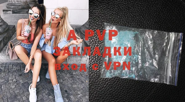 ПСИЛОЦИБИНОВЫЕ ГРИБЫ Иннополис