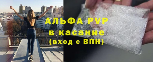 ПСИЛОЦИБИНОВЫЕ ГРИБЫ Иннополис
