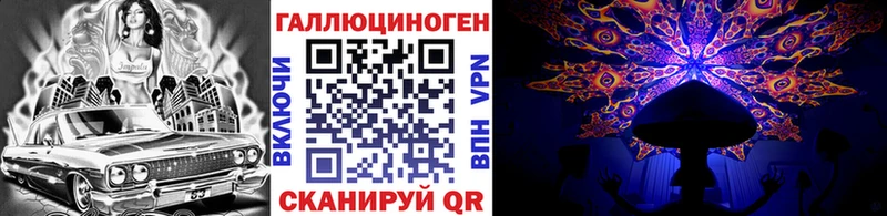 Галлюциногенные грибы Psilocybe  Купить закладки  Андреаполь 
