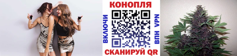 Канабис индика  Купить закладки  Андреаполь 